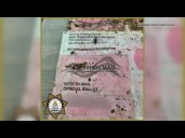 Deputies find nearly 100 unvoted ballots during homeless camp sweep in Sacramento County