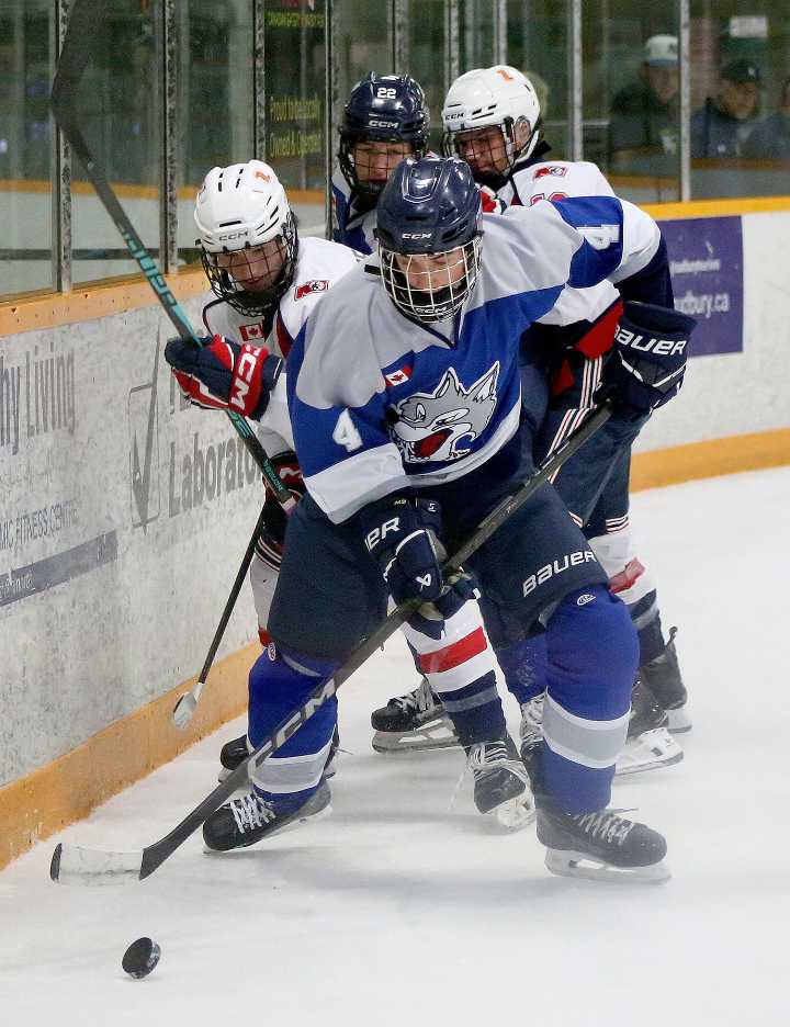 Sudbury Wolves U16s off to strong start with new coach, new players