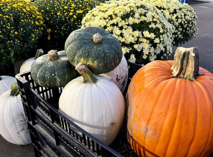 Harvest festivals and fall activities happening in the Oakland County area