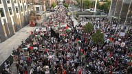 New polling explores Muslim Americans' priorities, diversity, Gaza views and 2024 decisions