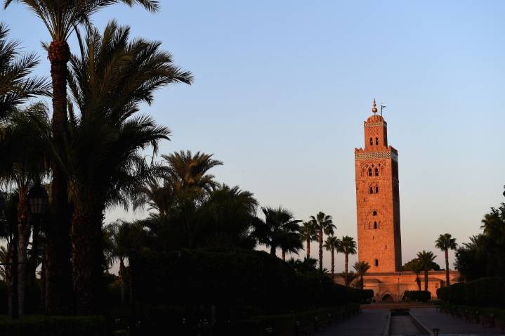 Morocco Set As 2026 EFM Country Of Focus; Rotterdam Premieres