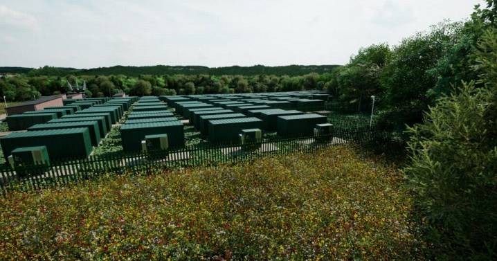 Rejected battery farm will go ahead after government overturns council’s decision