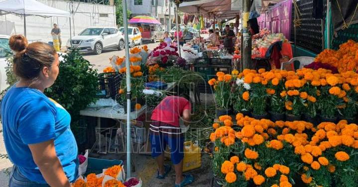 Aumenta la afluencia en pante?n de Madero; extienden horario hasta las 8 de la noche