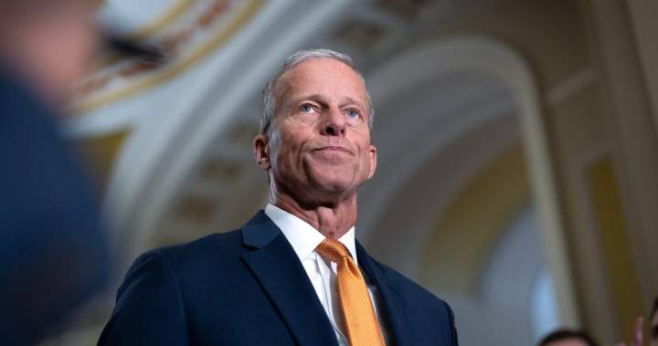 Food aid at risk of expiring as effort to fund SNAP benefits fails in Senate