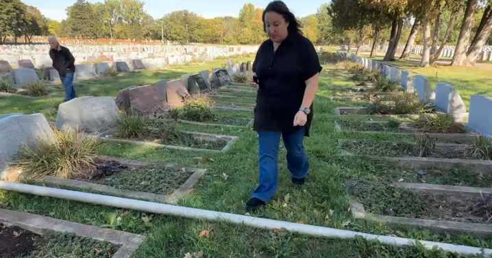 Concerns raised about condition of Hebrew Memorial Park cemetery in Clinton Twp.