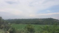 Presa Endhó: “Da miedo, da horror”, plaga de moscos afecta a comunidades de Tula y Tepetitlán
