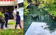 Repudio Nacional: Muerte de peces en la UIS por ataque con explosivos