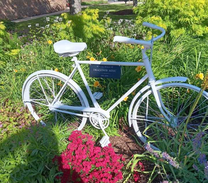Mother of Aurora hit-and-run victim hopes driver is found