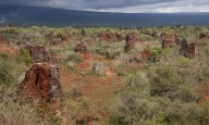 Malasia busca inversión extranjera para impulsar su industria de tierras raras