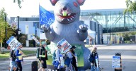 Classes cancelled at Mohawk College as support staff picket