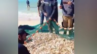 Video: Gazans seize rare chance to fish as Israel busy blocking Global Sumud Flotilla