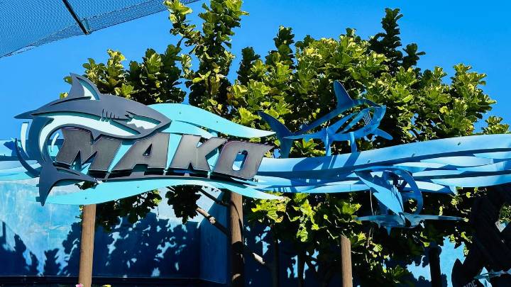 Woman hit in face by duck on SeaWorld Orlando coaster, lawsuit says