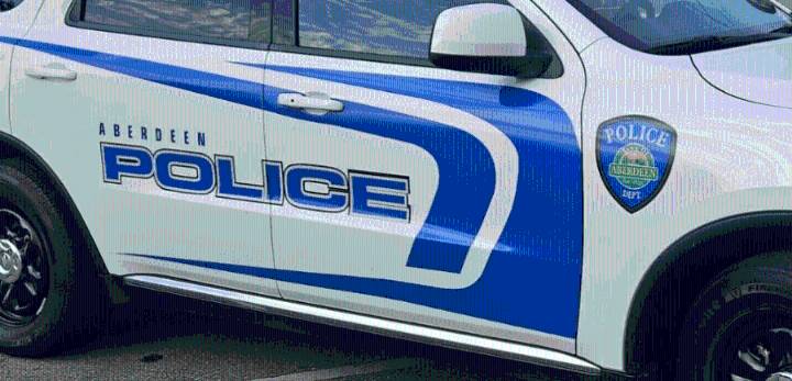 Police: Mom caught on video strangling young son in North Carolina