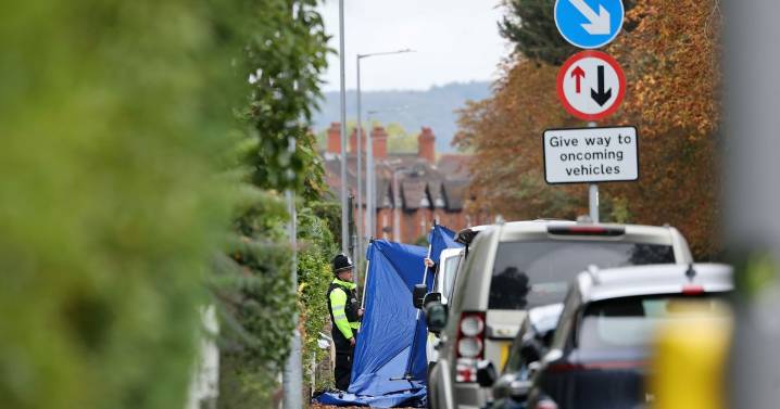 Police issue update on woman arrested over deaths of two children in Stafford