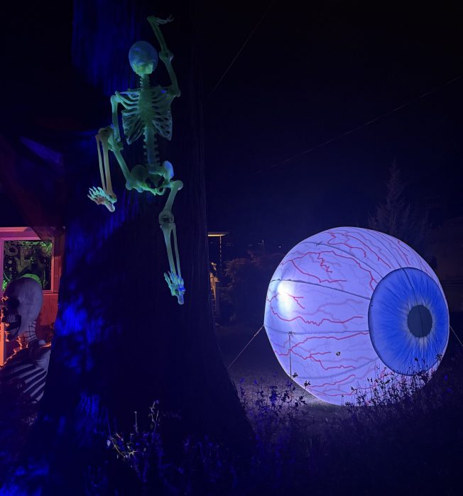 West Seattle Blog… | WEST SEATTLE HALLOWEEN: Display to see, where you’re seen too