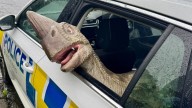 New Zealand cops tackle dinosauring crime by solving model theft