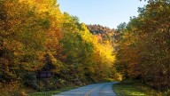 Grandfather Mountain glows with fall color in 2025…