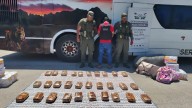 Trabajadores golondrina partieron de Orán a Mendoza con 31 kilos de marihuana