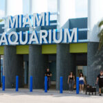 The cherished and controversial Miami Seaquarium closes its doors