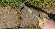 Autumn weeds warning Brits 'do not support the use of weedkillers'