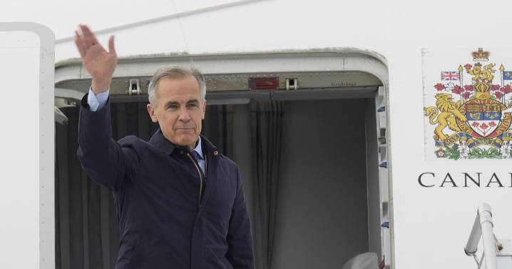 PM Carney ‘not taking the bait’ of suspended trade talks: international trade lawyer