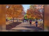 Annual Drop Dead 5K happening this Saturday in Charlotte