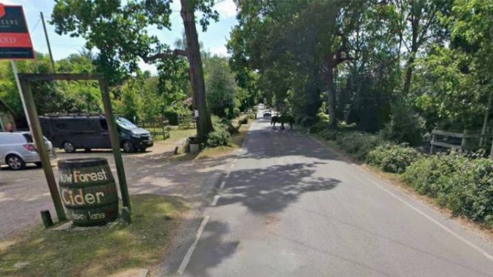 Pair found dead in camper van after attending New Forest cider festival