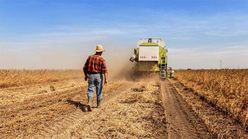 UATRE y RENATRE reclaman la continuidad del Decreto 514/2021 para proteger el empleo rural