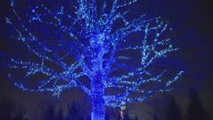 Ticket sales begin Thursday for 9th season of Winterlights at Newfields