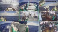 At least 11 more flotilla ships sailing for Gaza to break Israeli blockade
