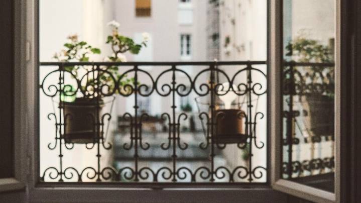 Ni aloe vera ni menta: las 5 plantas que perfuman tu casa de forma natural y sin químicos