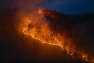 Warning Issued as Entire State Faces Wildfire Risk