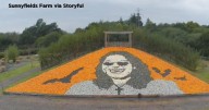 UK farm honors Ozzy Osbourne with massive Halloween pumpkin mosaic