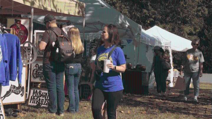 Arts and Crafts Festival happening at Audubon State Park