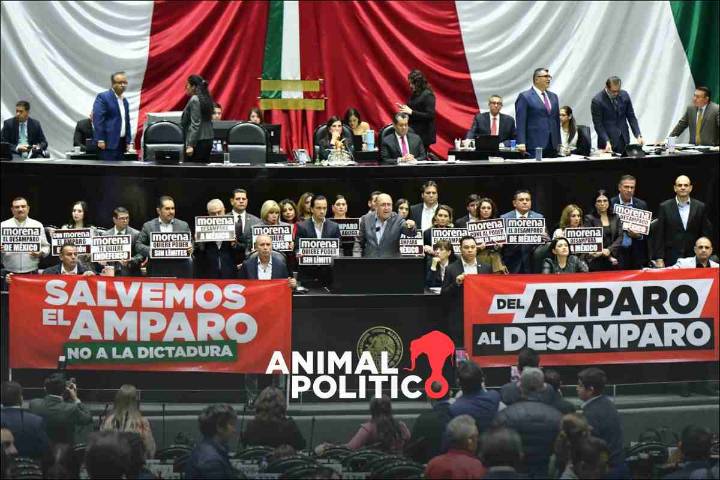 Diputados aprueban en lo general reforma a Ley de Amparo; comienzan análisis de más de 300 reservas
