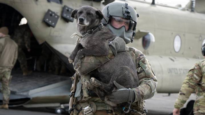 Dog evacuations continue from Western Alaska villages hit hard by remnants of Typhoon Halong