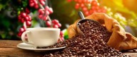 Guerra comercial entre EE. UU. y China impulsa el café colombiano