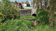 Avanza Almoloya de Juárez en el rescate del Ojo de Agua