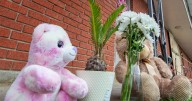 Baton Rouge man gets life for dumping toddler's remains