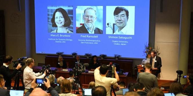 Nobel de Medicina reconoce descubrimientos sobre cómo se regula el sistema inmune
