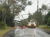 Severe storm causes tree fall, impacts traffic in Wall Township