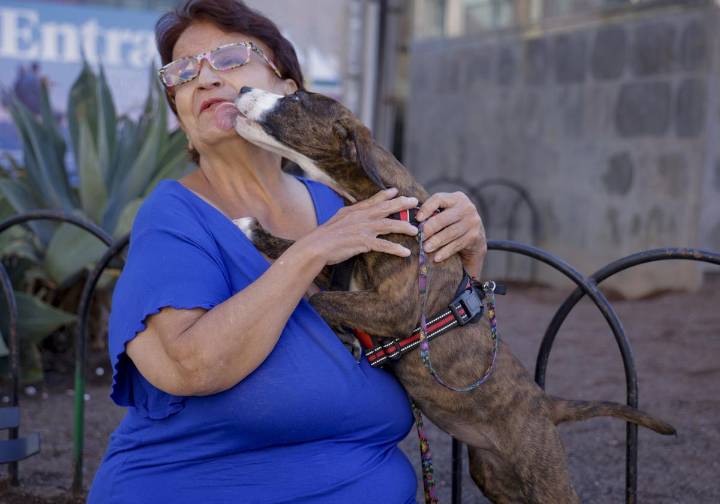 Pepi González y su amor por los animales de Guanarteme