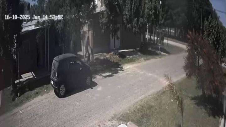 Agresión a un perro en Sauce Viejo: el video se viralizó y una figura del espectáculo denunció el hecho