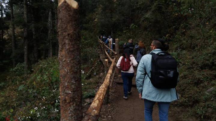 ¿Todavía no te animas a ir? Todo esto puedes hacer en los santuarios de la Mariposa Monarca