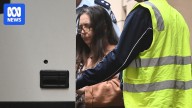 Department of Public Prosecution to appeal Erin Patterson's sentence over mushroom murders