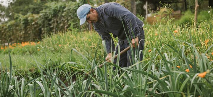 Áreas de Protección para la Producción de Alimentos (APPA) impulsadas por el Gobierno nacional violan la constitución y amenazan la autonomía territorial