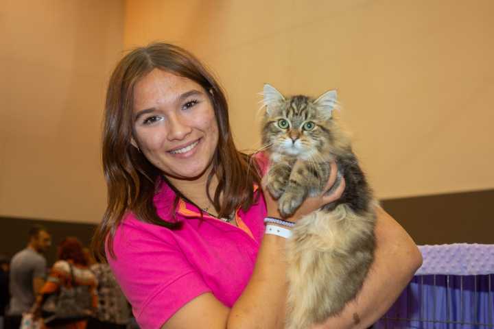 Photos: The 2025 Cat Expo at the I-X Center Was Feline Heaven