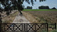 El ánimo del campo refleja cautela en un clima político decisivo