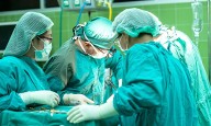 Implantan hígado de cerdo modificado en paciente humano