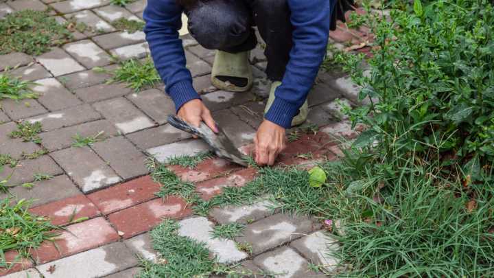 Stop Weeds From Growing Between Pavers With A Natural Solution